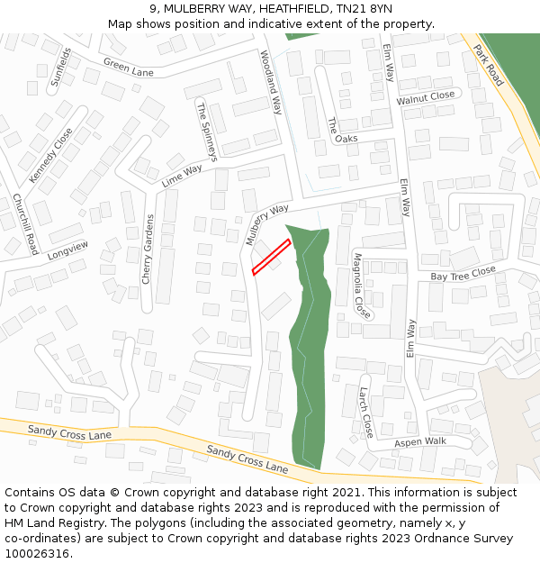 9, MULBERRY WAY, HEATHFIELD, TN21 8YN: Location map and indicative extent of plot