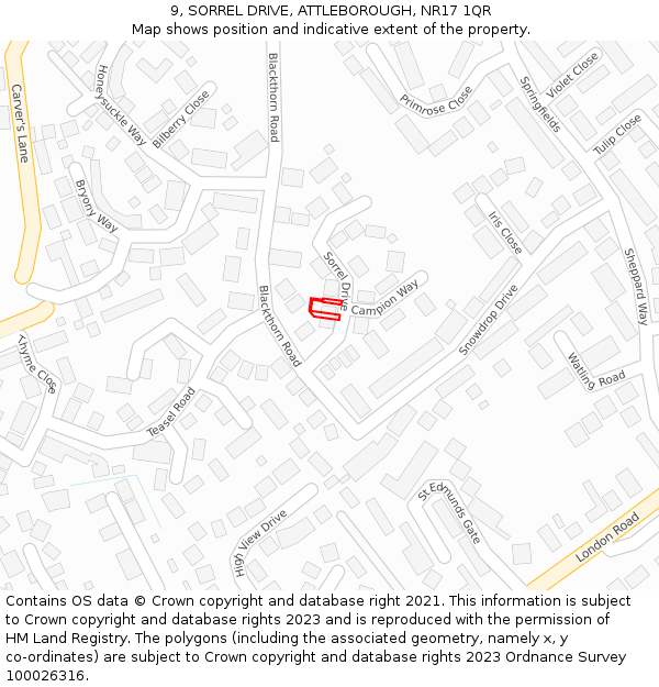 9, SORREL DRIVE, ATTLEBOROUGH, NR17 1QR: Location map and indicative extent of plot