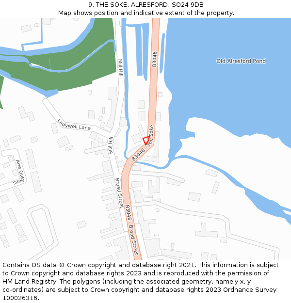 9, THE SOKE, ALRESFORD, SO24 9DB: Location map and indicative extent of plot
