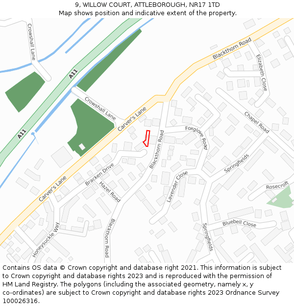 9, WILLOW COURT, ATTLEBOROUGH, NR17 1TD: Location map and indicative extent of plot