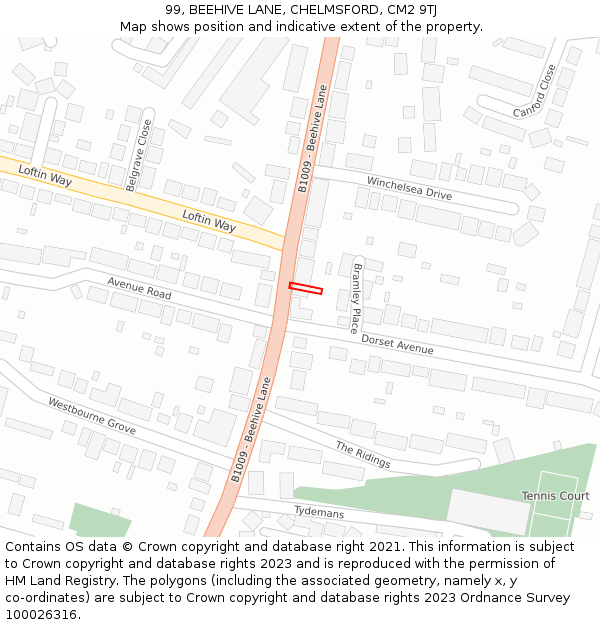 99, BEEHIVE LANE, CHELMSFORD, CM2 9TJ: Location map and indicative extent of plot