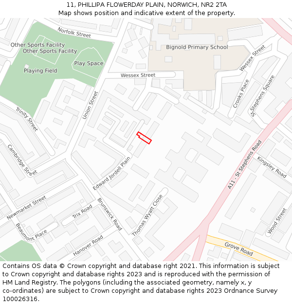 11, PHILLIPA FLOWERDAY PLAIN, NORWICH, NR2 2TA: Location map and indicative extent of plot