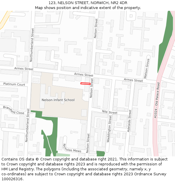 123, NELSON STREET, NORWICH, NR2 4DR: Location map and indicative extent of plot