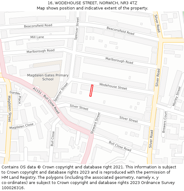 16, WODEHOUSE STREET, NORWICH, NR3 4TZ: Location map and indicative extent of plot