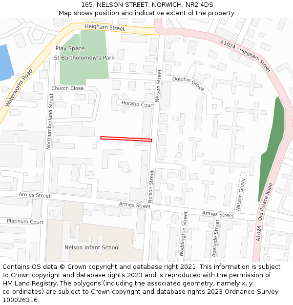 165, NELSON STREET, NORWICH, NR2 4DS: Location map and indicative extent of plot