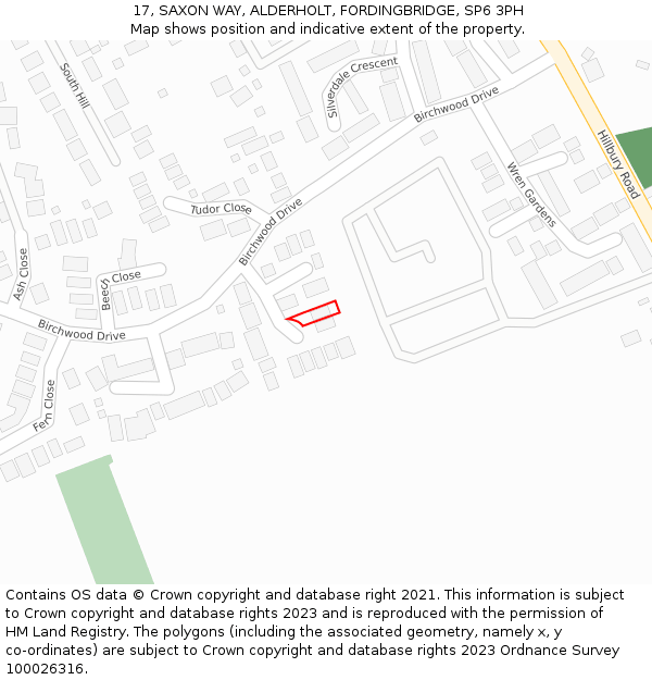 17, SAXON WAY, ALDERHOLT, FORDINGBRIDGE, SP6 3PH: Location map and indicative extent of plot