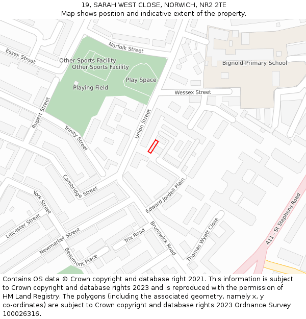 19, SARAH WEST CLOSE, NORWICH, NR2 2TE: Location map and indicative extent of plot