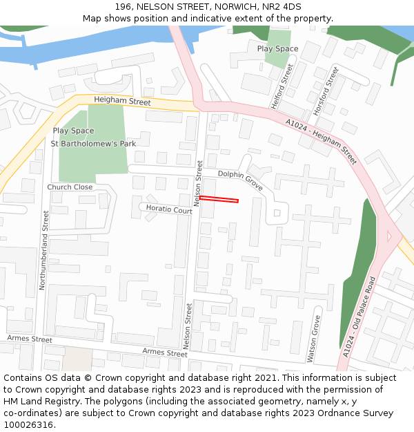 196, NELSON STREET, NORWICH, NR2 4DS: Location map and indicative extent of plot