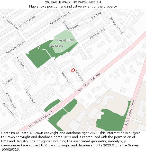 20, EAGLE WALK, NORWICH, NR2 2JA: Location map and indicative extent of plot
