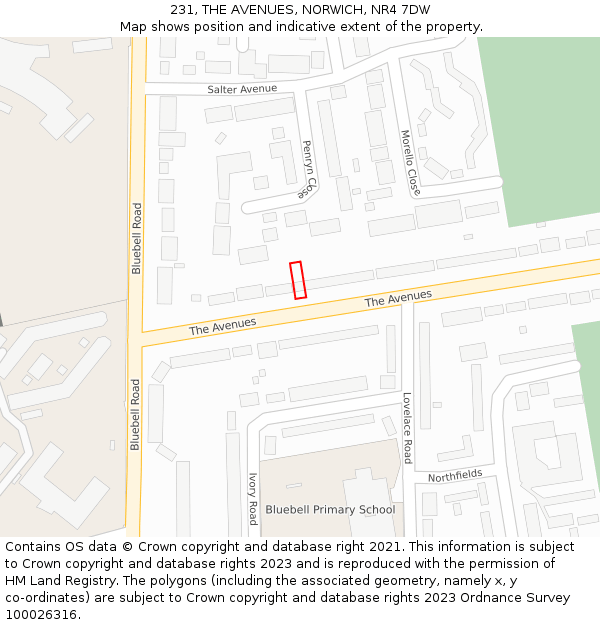 231, THE AVENUES, NORWICH, NR4 7DW: Location map and indicative extent of plot