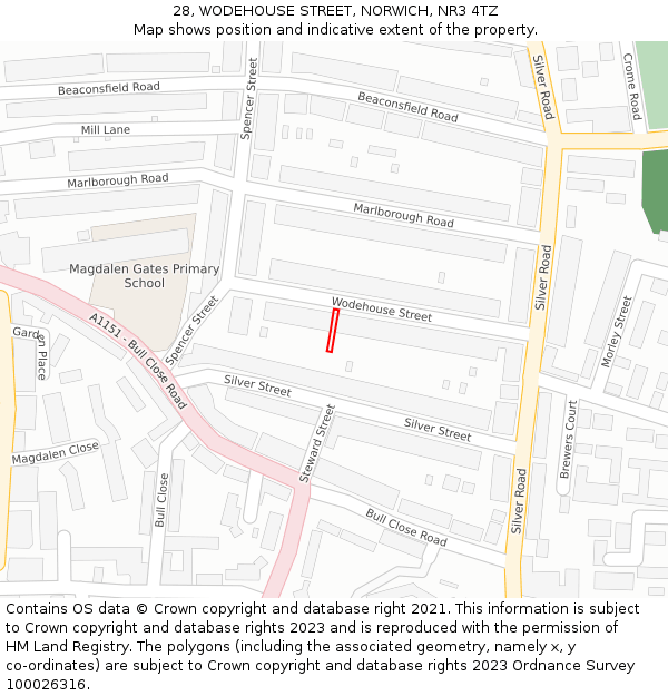 28, WODEHOUSE STREET, NORWICH, NR3 4TZ: Location map and indicative extent of plot