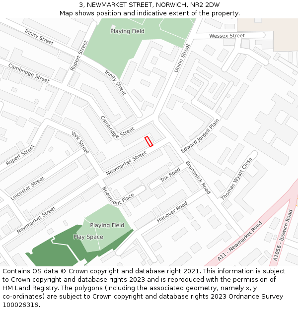3, NEWMARKET STREET, NORWICH, NR2 2DW: Location map and indicative extent of plot
