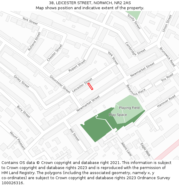 38, LEICESTER STREET, NORWICH, NR2 2AS: Location map and indicative extent of plot