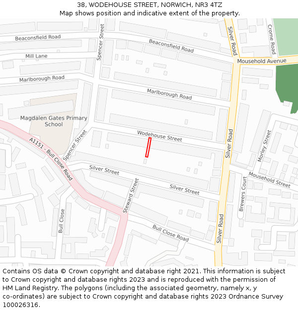 38, WODEHOUSE STREET, NORWICH, NR3 4TZ: Location map and indicative extent of plot