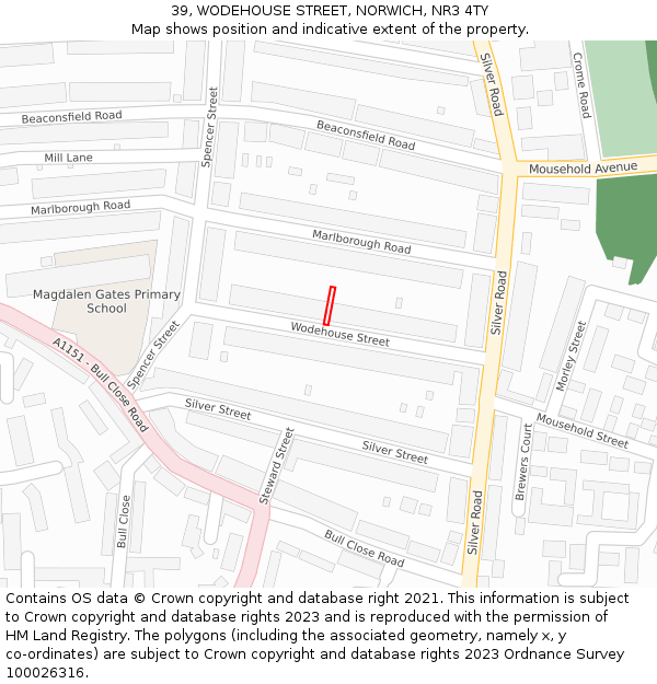 39, WODEHOUSE STREET, NORWICH, NR3 4TY: Location map and indicative extent of plot
