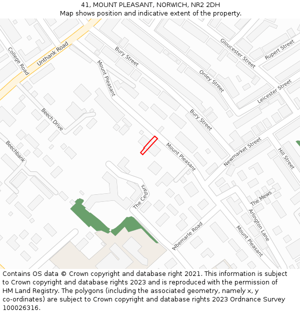 41, MOUNT PLEASANT, NORWICH, NR2 2DH: Location map and indicative extent of plot