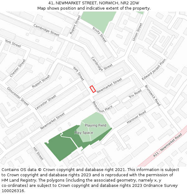 41, NEWMARKET STREET, NORWICH, NR2 2DW: Location map and indicative extent of plot
