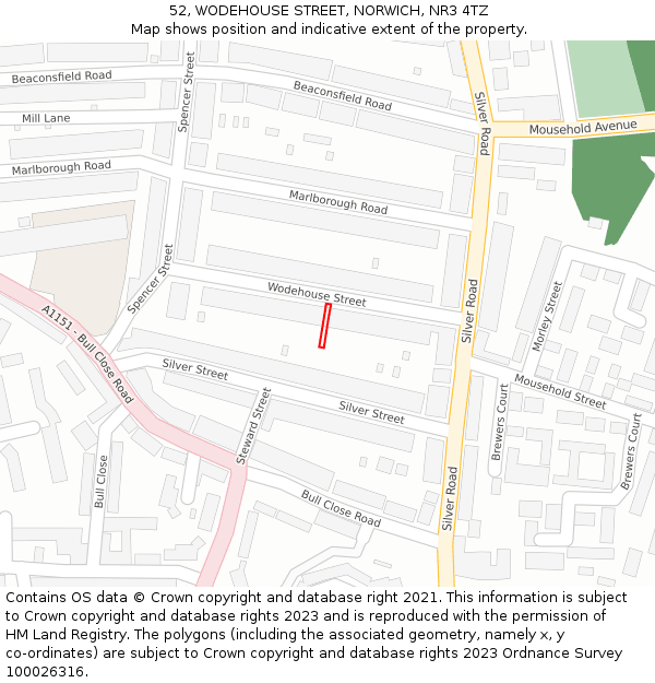 52, WODEHOUSE STREET, NORWICH, NR3 4TZ: Location map and indicative extent of plot