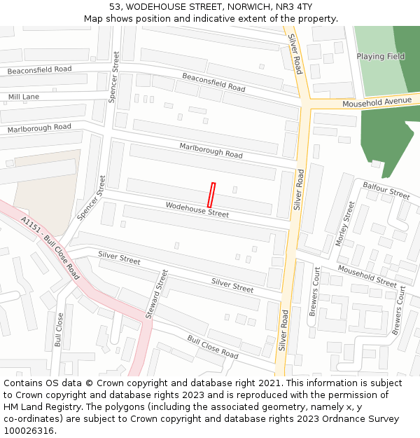 53, WODEHOUSE STREET, NORWICH, NR3 4TY: Location map and indicative extent of plot