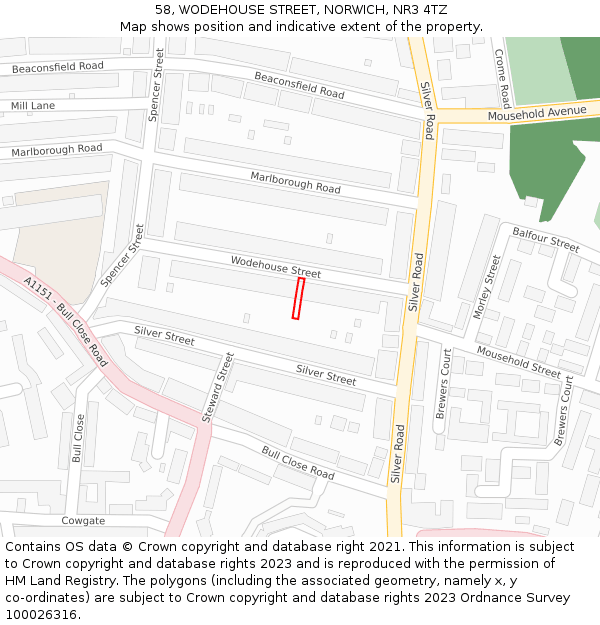 58, WODEHOUSE STREET, NORWICH, NR3 4TZ: Location map and indicative extent of plot