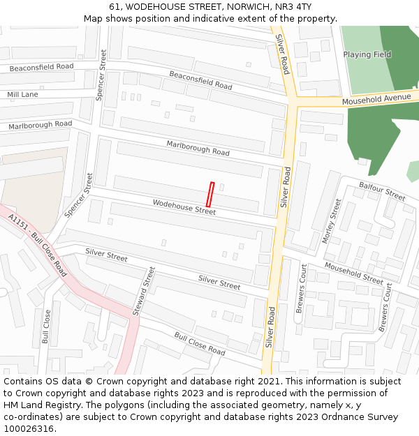 61, WODEHOUSE STREET, NORWICH, NR3 4TY: Location map and indicative extent of plot