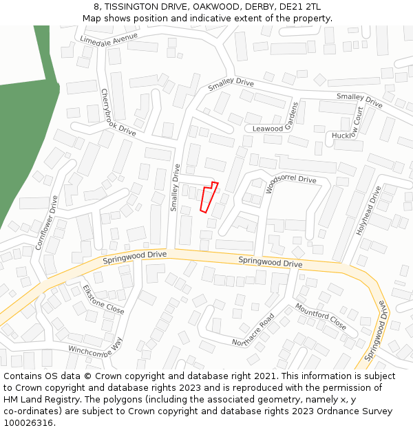 8, TISSINGTON DRIVE, OAKWOOD, DERBY, DE21 2TL: Location map and indicative extent of plot