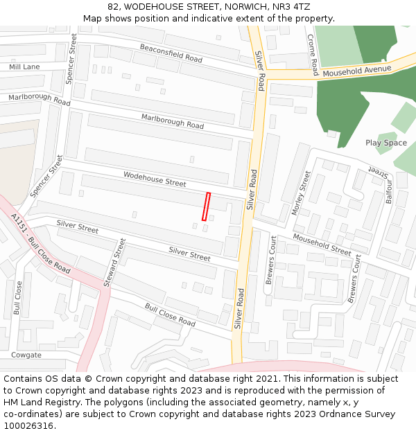 82, WODEHOUSE STREET, NORWICH, NR3 4TZ: Location map and indicative extent of plot