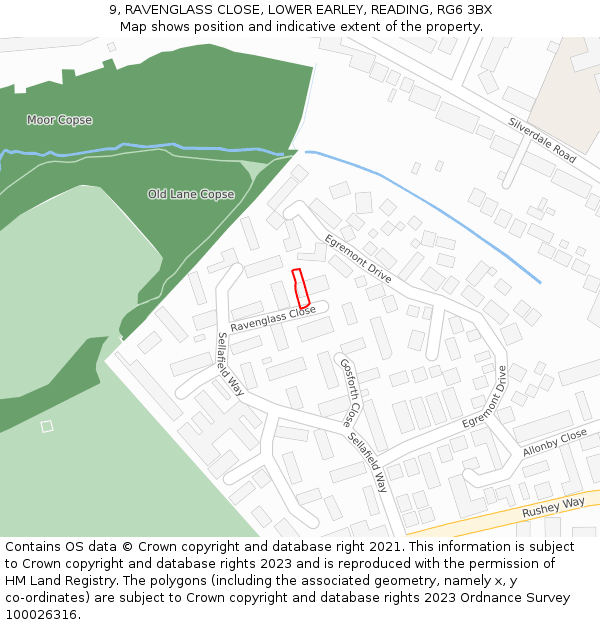 9, RAVENGLASS CLOSE, LOWER EARLEY, READING, RG6 3BX: Location map and indicative extent of plot