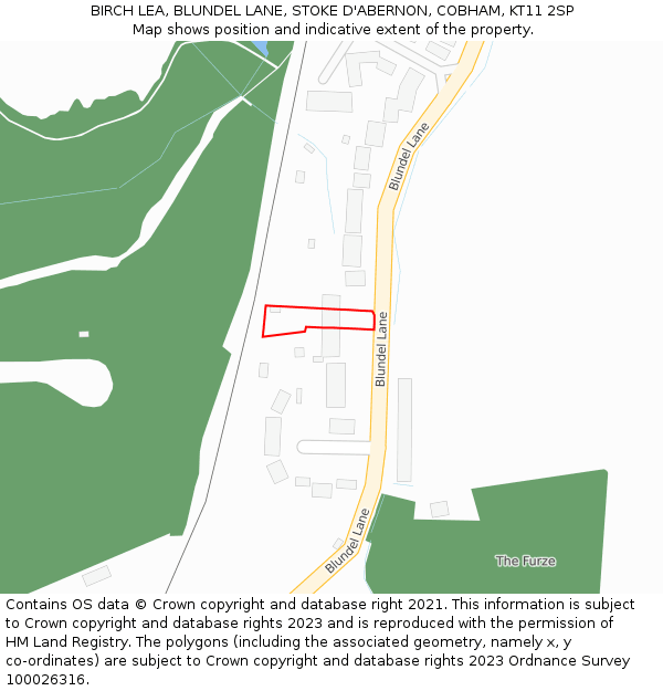 BIRCH LEA, BLUNDEL LANE, STOKE D'ABERNON, COBHAM, KT11 2SP: Location map and indicative extent of plot