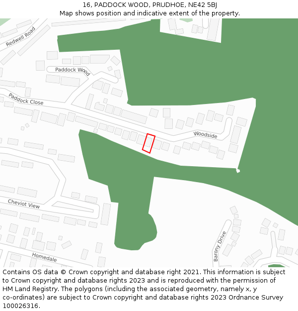 16, PADDOCK WOOD, PRUDHOE, NE42 5BJ: Location map and indicative extent of plot
