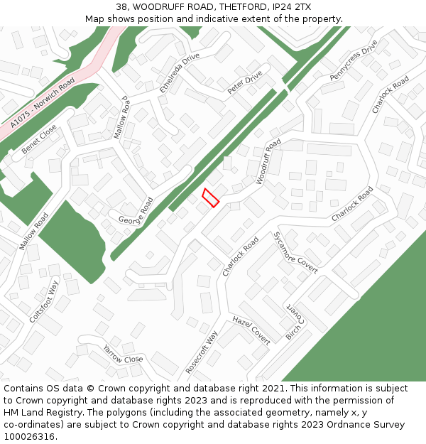38, WOODRUFF ROAD, THETFORD, IP24 2TX: Location map and indicative extent of plot