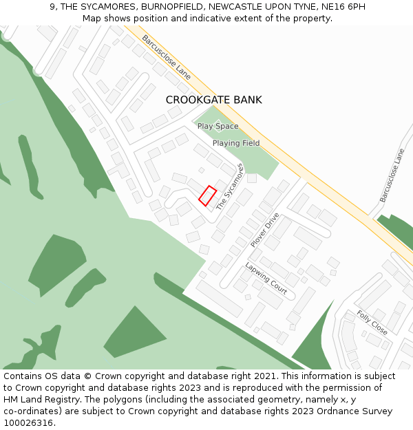 9, THE SYCAMORES, BURNOPFIELD, NEWCASTLE UPON TYNE, NE16 6PH: Location map and indicative extent of plot