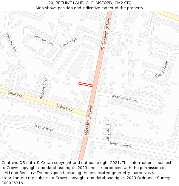 20, BEEHIVE LANE, CHELMSFORD, CM2 9TQ: Location map and indicative extent of plot