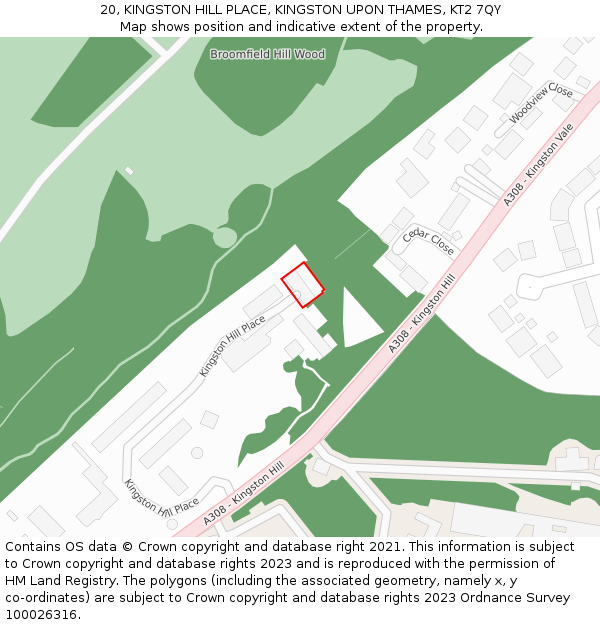 20, KINGSTON HILL PLACE, KINGSTON UPON THAMES, KT2 7QY: Location map and indicative extent of plot