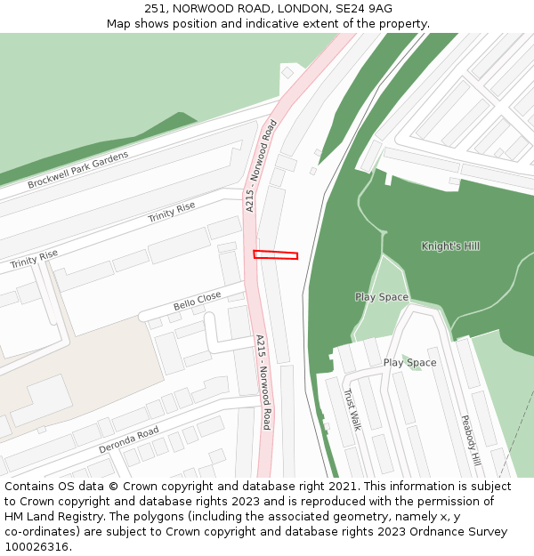 251, NORWOOD ROAD, LONDON, SE24 9AG: Location map and indicative extent of plot