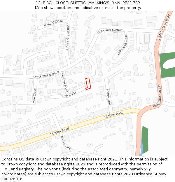 12, BIRCH CLOSE, SNETTISHAM, KING'S LYNN, PE31 7RP: Location map and indicative extent of plot