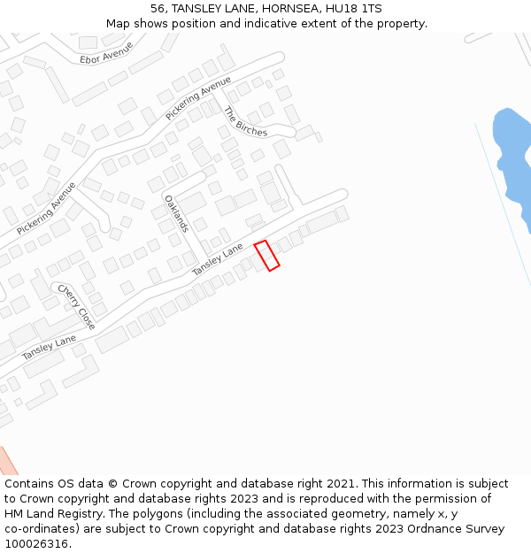 56, TANSLEY LANE, HORNSEA, HU18 1TS: Location map and indicative extent of plot
