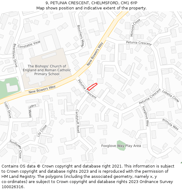 9, PETUNIA CRESCENT, CHELMSFORD, CM1 6YP: Location map and indicative extent of plot