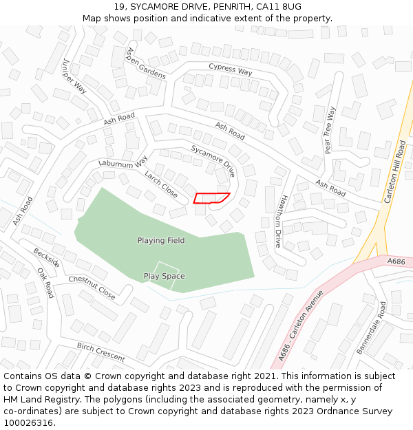 19, SYCAMORE DRIVE, PENRITH, CA11 8UG: Location map and indicative extent of plot