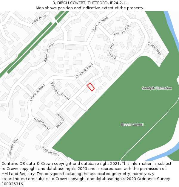 3, BIRCH COVERT, THETFORD, IP24 2UL: Location map and indicative extent of plot