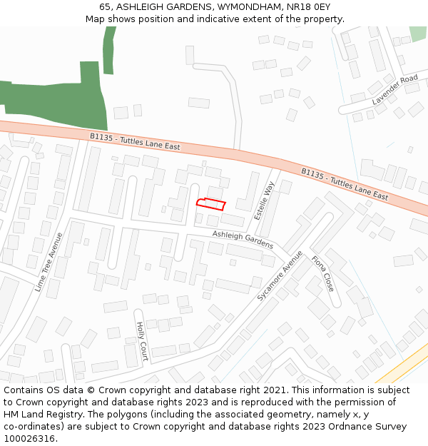 65, ASHLEIGH GARDENS, WYMONDHAM, NR18 0EY: Location map and indicative extent of plot