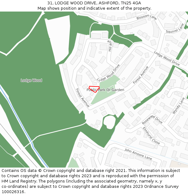 31, LODGE WOOD DRIVE, ASHFORD, TN25 4GA: Location map and indicative extent of plot