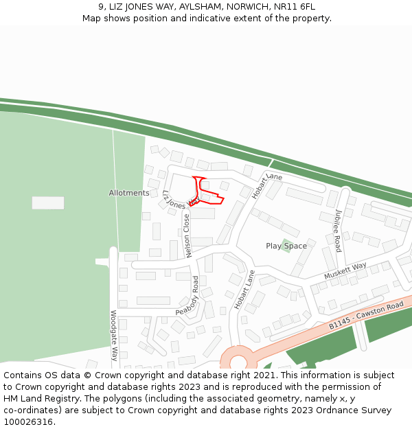 9, LIZ JONES WAY, AYLSHAM, NORWICH, NR11 6FL: Location map and indicative extent of plot