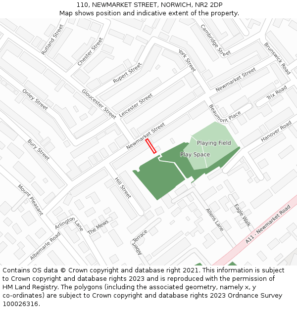 110, NEWMARKET STREET, NORWICH, NR2 2DP: Location map and indicative extent of plot