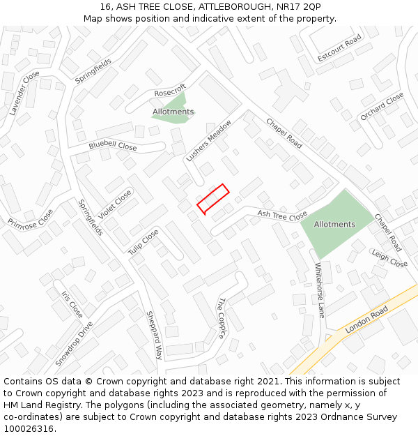 16, ASH TREE CLOSE, ATTLEBOROUGH, NR17 2QP: Location map and indicative extent of plot