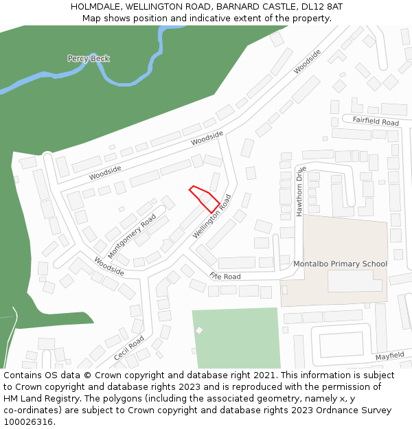 HOLMDALE, WELLINGTON ROAD, BARNARD CASTLE, DL12 8AT: Location map and indicative extent of plot
