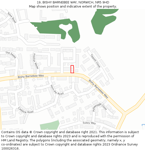 19, BISHY BARNEBEE WAY, NORWICH, NR5 9HD: Location map and indicative extent of plot