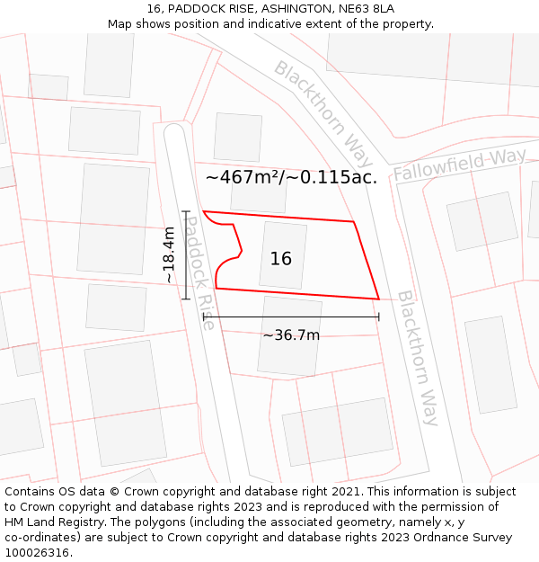 16, PADDOCK RISE, ASHINGTON, NE63 8LA: Plot and title map