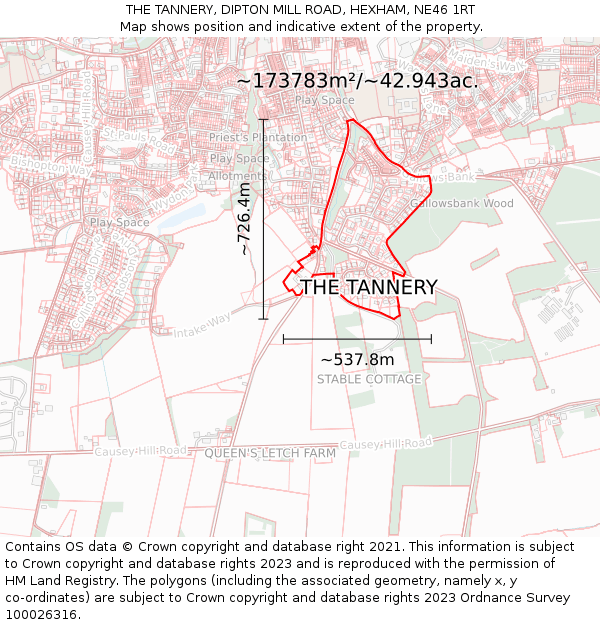 THE TANNERY, DIPTON MILL ROAD, HEXHAM, NE46 1RT: Plot and title map
