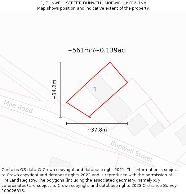 1, BUNWELL STREET, BUNWELL, NORWICH, NR16 1NA: Plot and title map